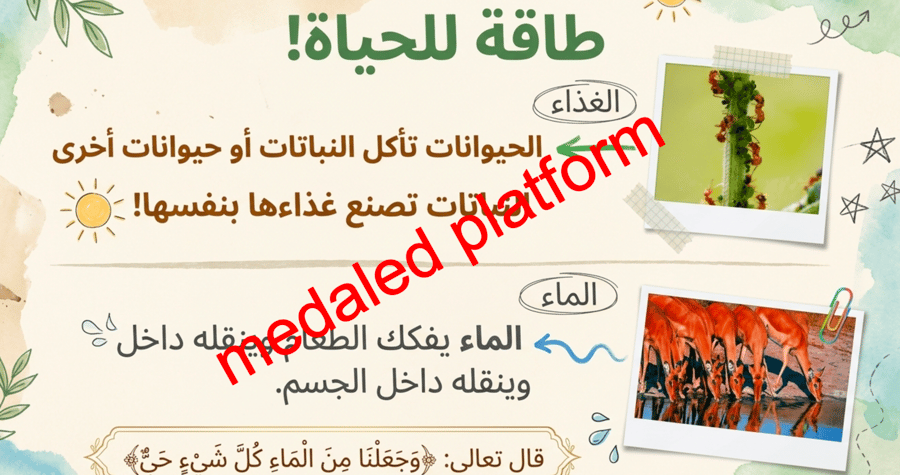الفصل الاول المخلوقات الحية و حاجاتها