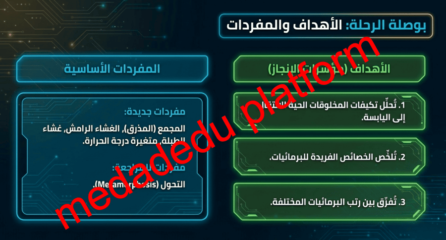 الفصل الخامس النباتات الوعائية اللابذرية