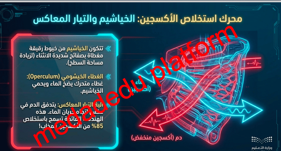 الفصل الثاني الاسماك