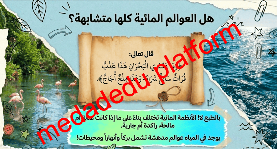الفصل الثالث مقدمة في الأنظمة البيئية