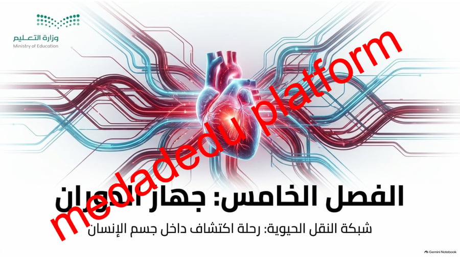 الفصل الخامس جهاز الدوران