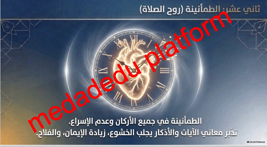 الفقة الدرس الحادي عشر صفة الصلاة ٣