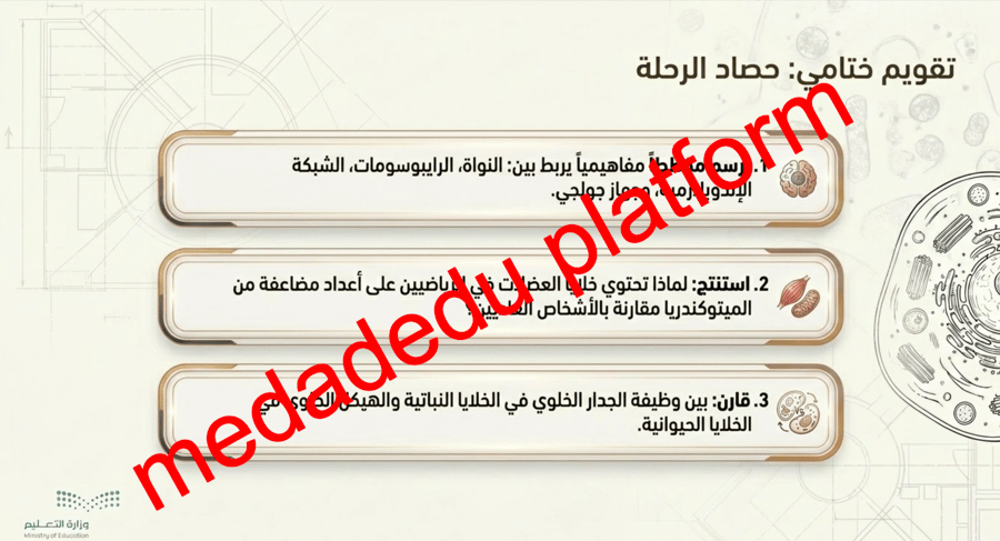الفصل الثامن التراكيب الخلوية و العضيات