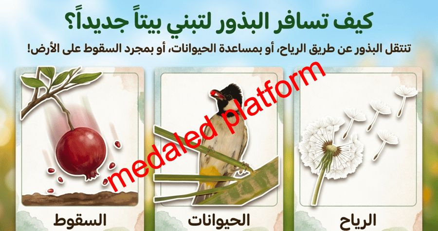الفصل الثاني دورات حياة النباتات