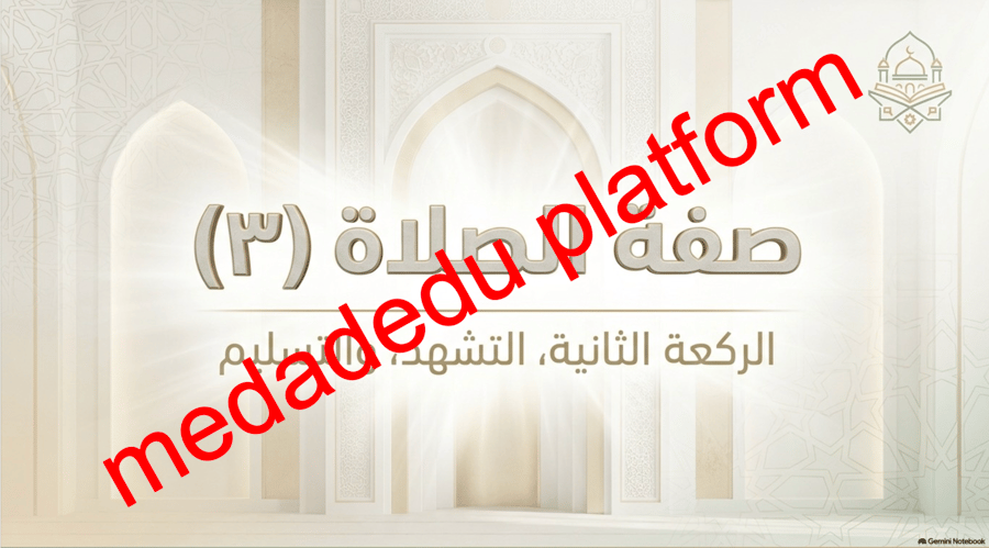 الفقة الدرس الحادي عشر صفة الصلاة ٣