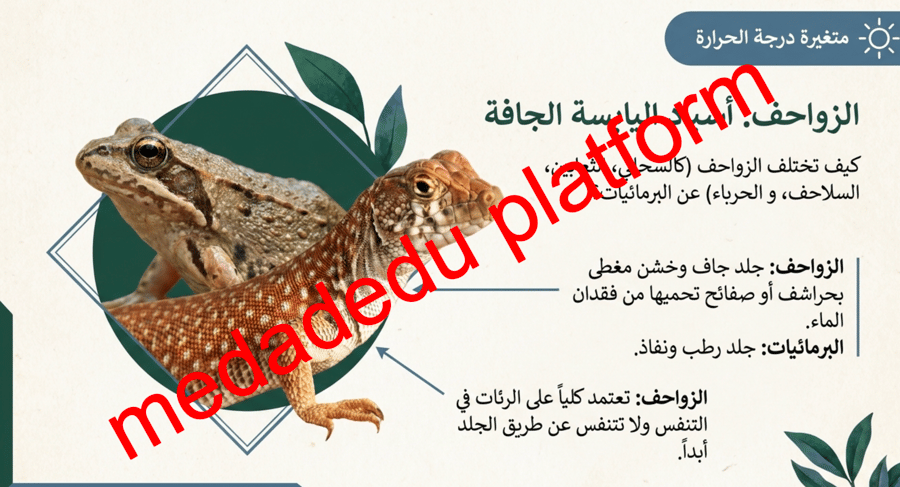 الفصل الثاني الحيوانات الفقارية
