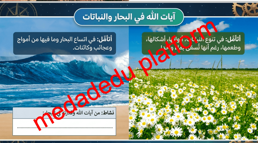 التوحيد الدرس السادس دلائل معرفة الرب عز و جل