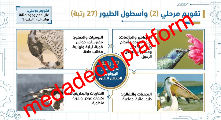 الفصل الثالث الطيور