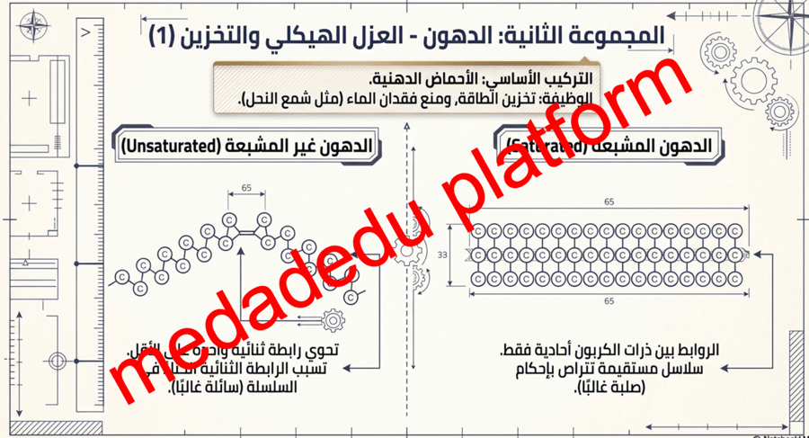الفصل الثامن كيمياء الخلية