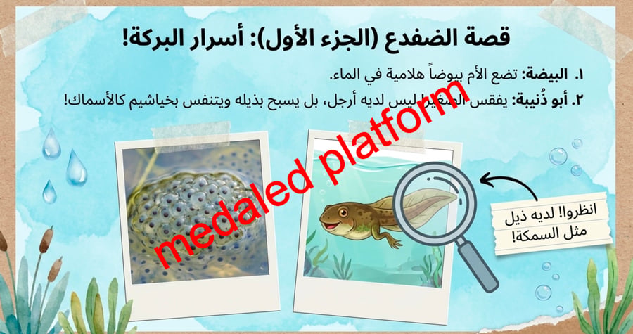 الفصل الثاني دورات حياة الحيوانات