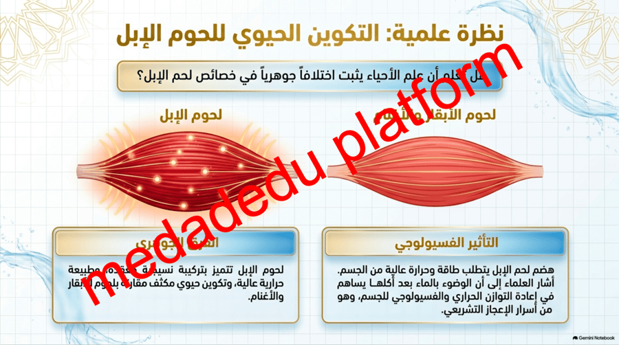 الفقة الدرس الثامن نواقض الوضوء