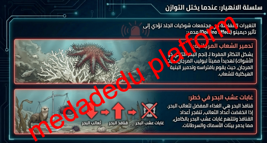 الفصل الأول خصائص شوكيات الجلد