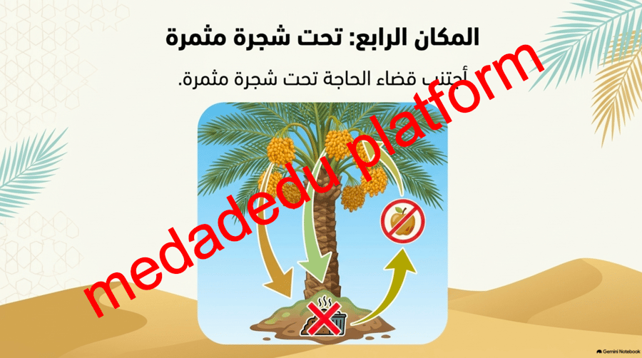 الفقة الدرس الثاني آداب قضاء الحاجة ٢
