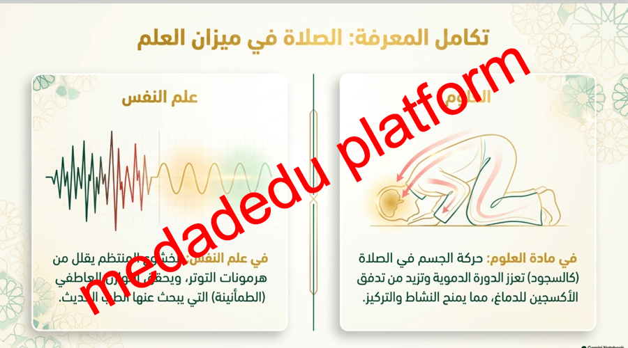 الفقة الدرس السابع مكانة الصلاة
