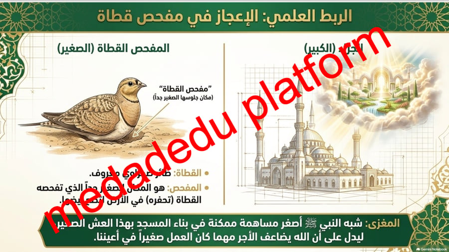 الحديث الدرس الرابع عشر فضل بناء المساجد