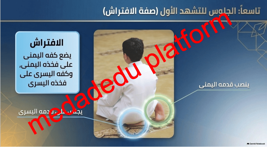 الفقة الدرس الحادي عشر صفة الصلاة ٣