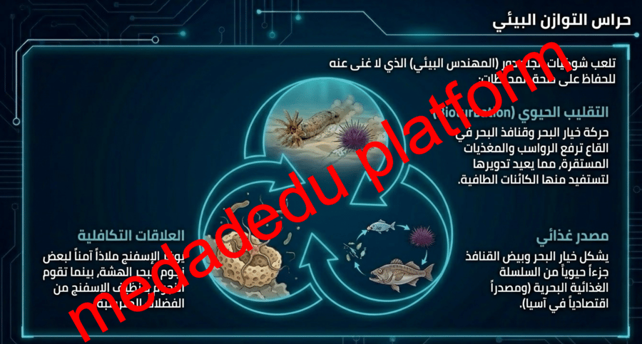 الفصل الأول خصائص شوكيات الجلد