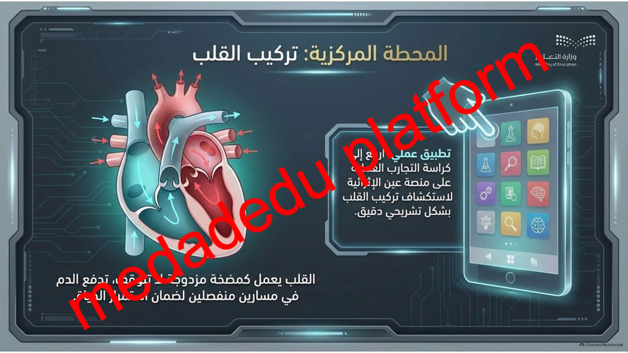 الفصل الخامس جهاز الدوران