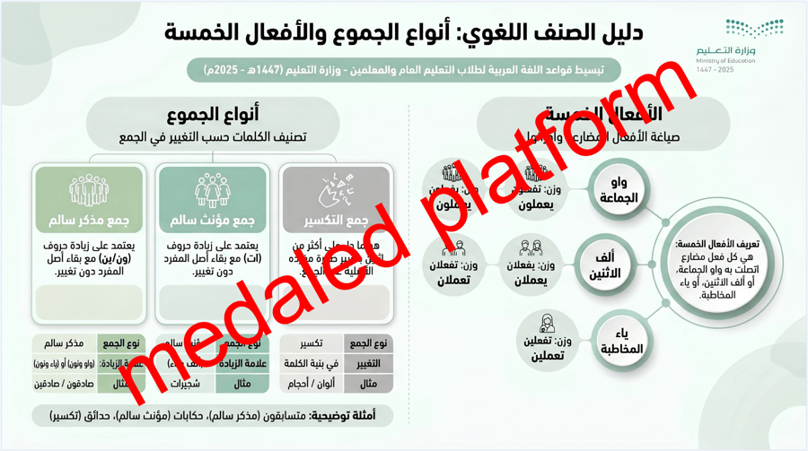 انفوجرافيك الصنف اللغوي