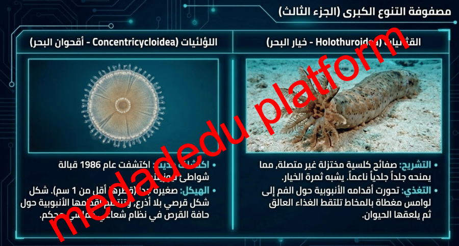 الفصل الأول خصائص شوكيات الجلد