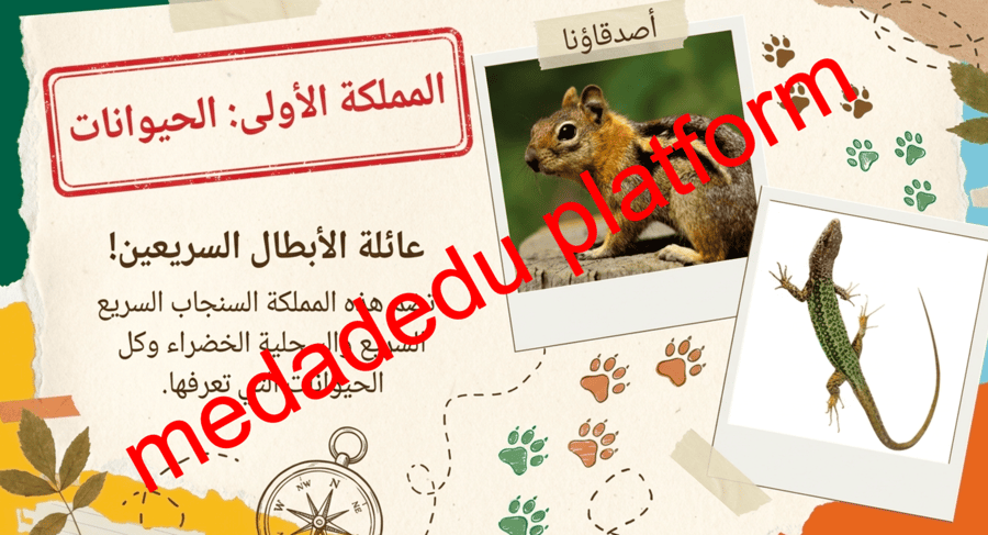 الفصل الاول تصنيف المخلوقات الحية