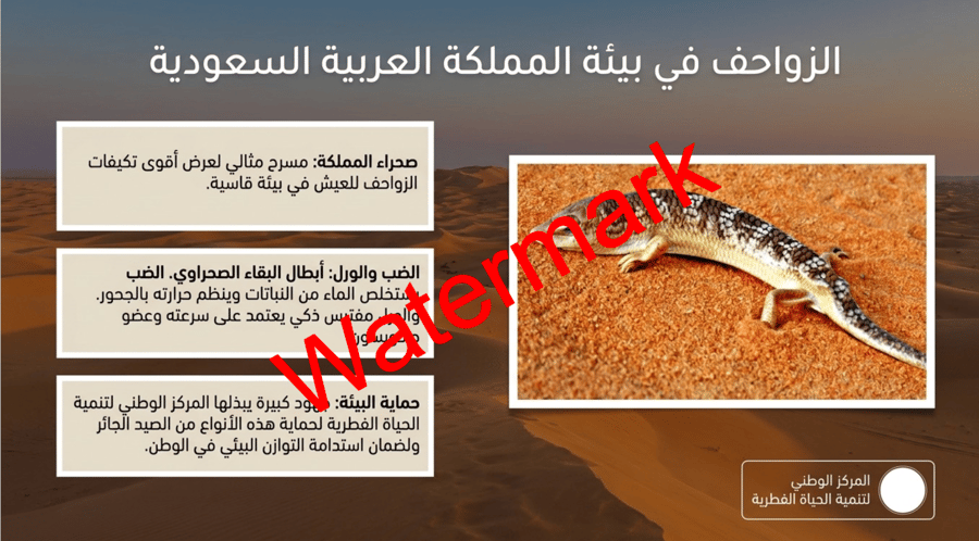 الفصل الثالث الزواحف