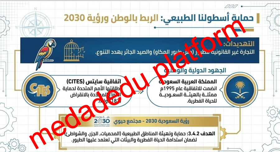 الفصل الثالث الطيور