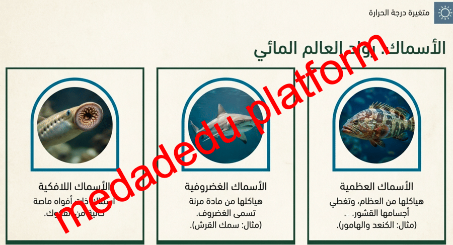 الفصل الثاني الحيوانات الفقارية