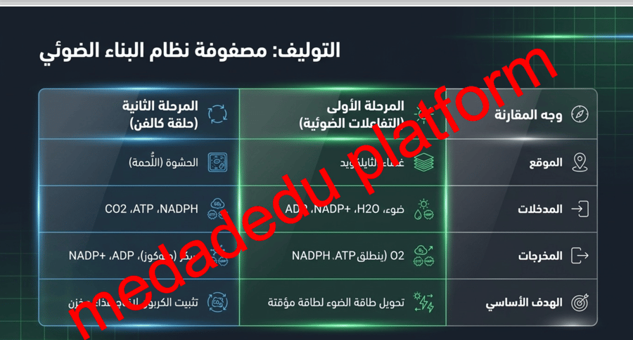 الفصل التاسع البناء الضوئي -