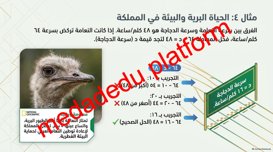 الوحدة الأولى الدرس الثامن الجبر المعادلات