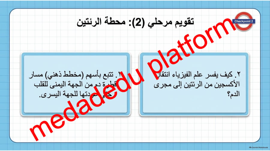 الفصل الخامس جهاز الدوران