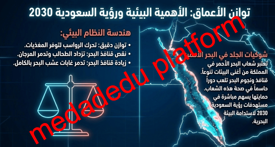 الفصل الأول خصائص شوكيات الجلد