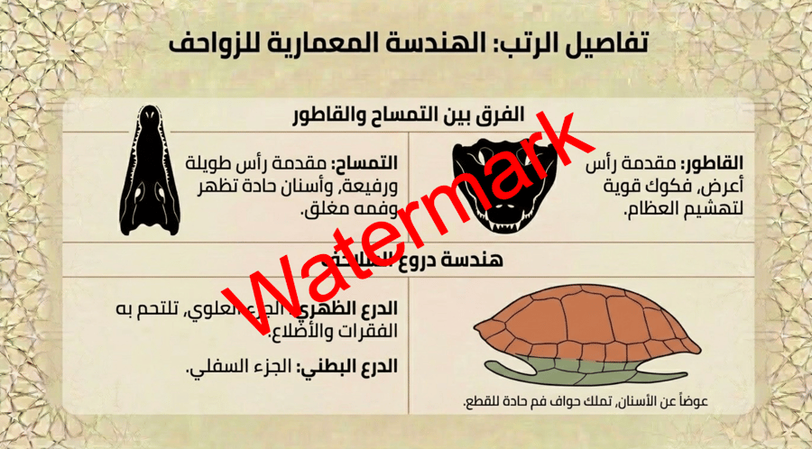 الفصل الثالث الزواحف