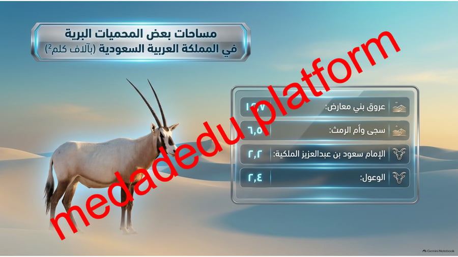 الوحدة الثانية الدرس الثاني التمثيل بالأعمدة و الخطوط