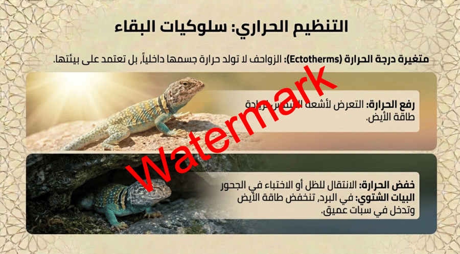 الفصل الثالث الزواحف