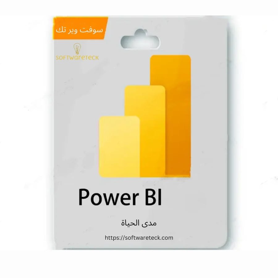 Power BI lifetime