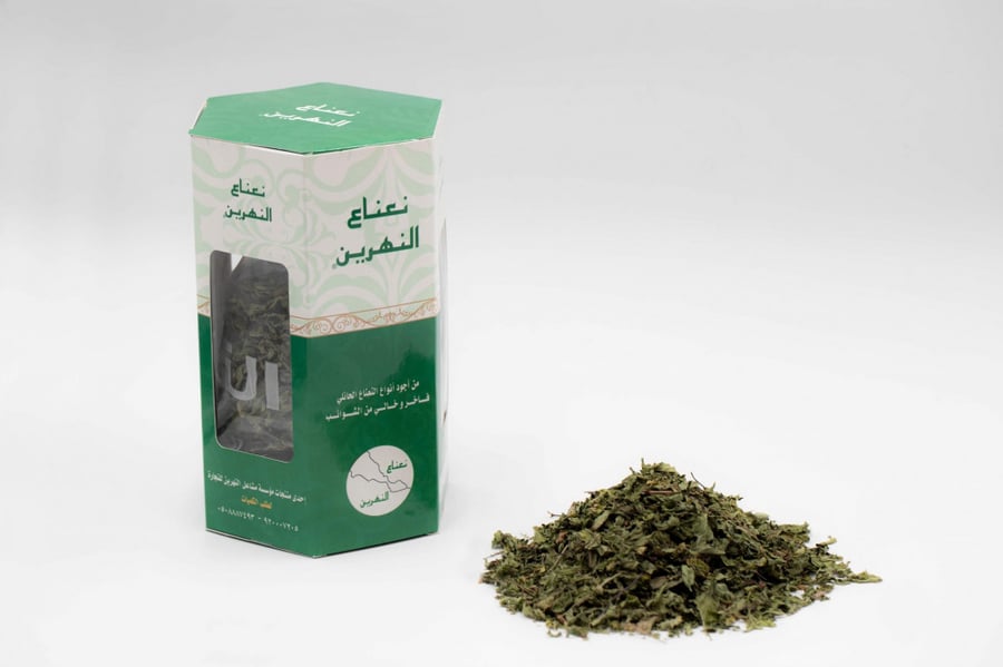 نعناع النهرين