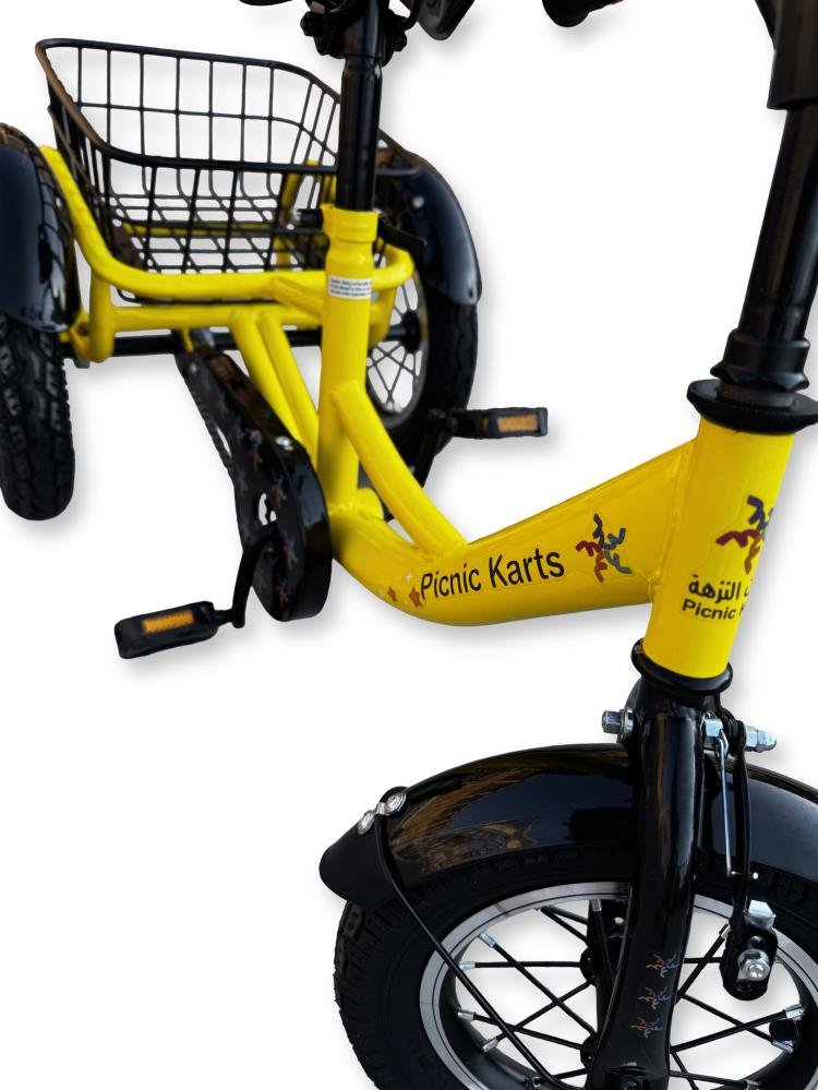 دراجة اطفال ثلاثية TRICYCLE ( 12 )