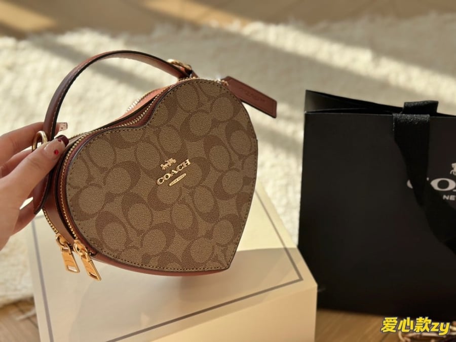 Coach heart bag|Wbox|18x14
