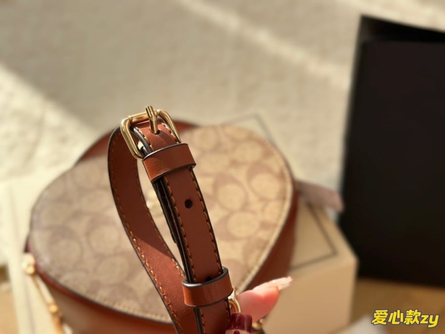 Coach heart bag|Wbox|18x14