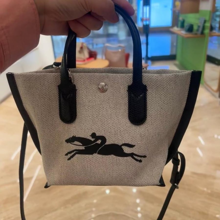 Longchamp-91 |19x18cm