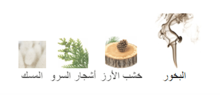 انسنس سيتي اول ساينتس تقسيم