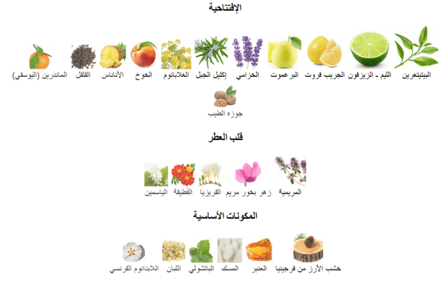 1872 الرجالي كلايف كريستيان عينات
