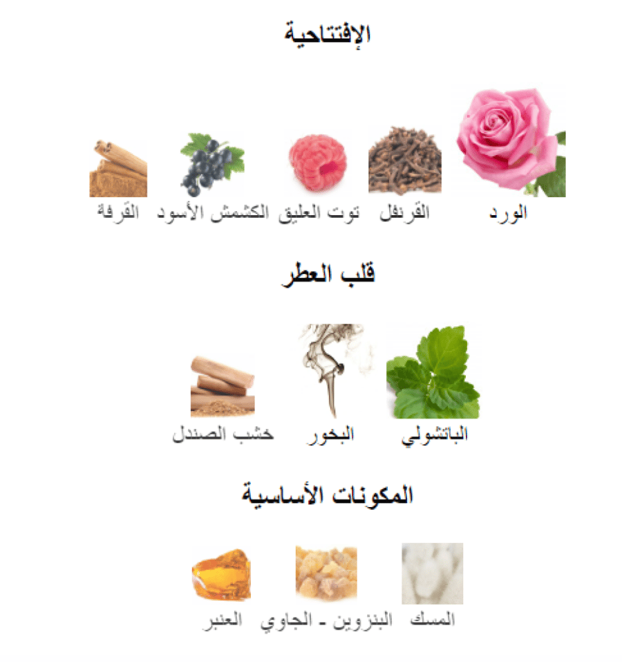 بورتريه اوف ليدي فريدريك مال عينات