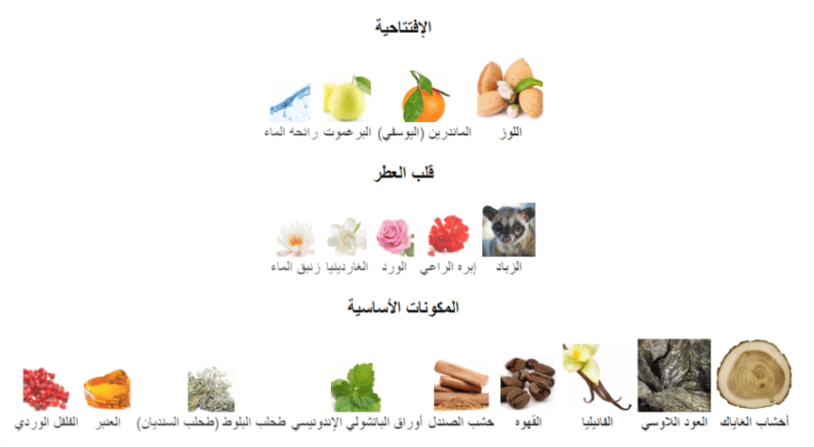 لايتون اكسكلوسف دي مارلي تقسيم