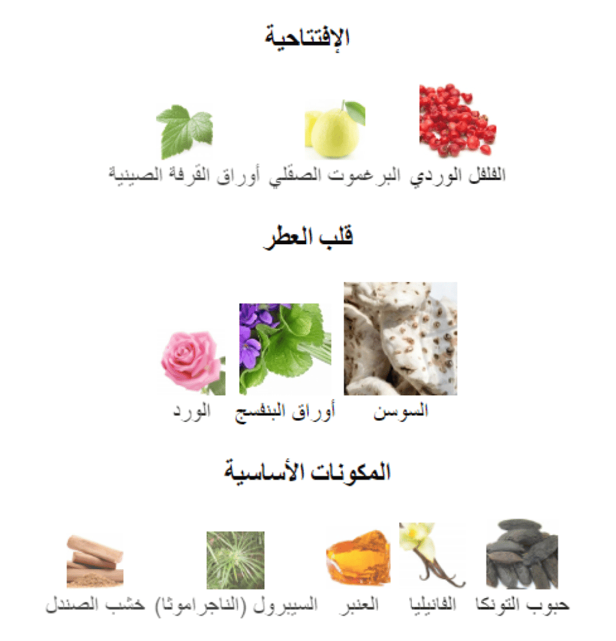 ايريس دي اوريانت كريستيان بروفنزانو تقسيم