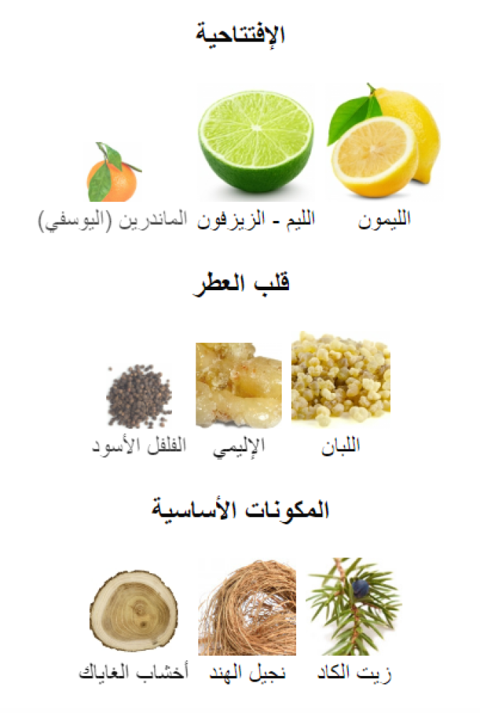 سيرش امواج تقسيم