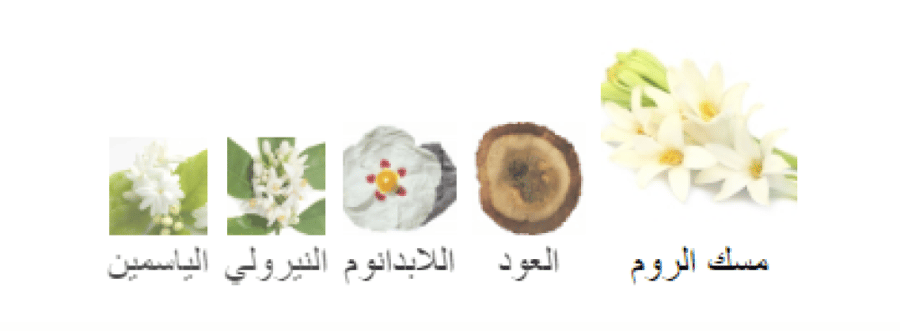 مون بلوم رامون مونيغال عينات