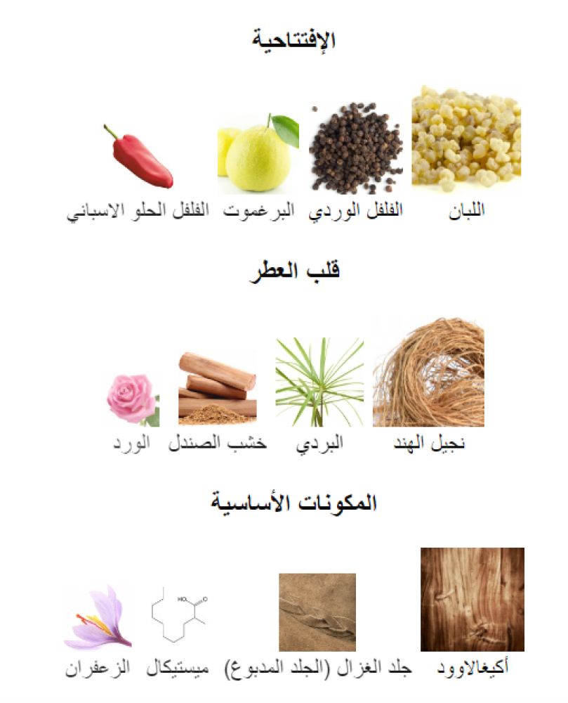 بربوس امواج تقسيم