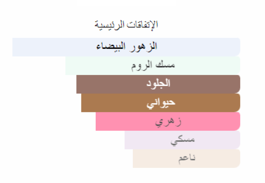 توربولينسز لويس فيتون تقسيم
